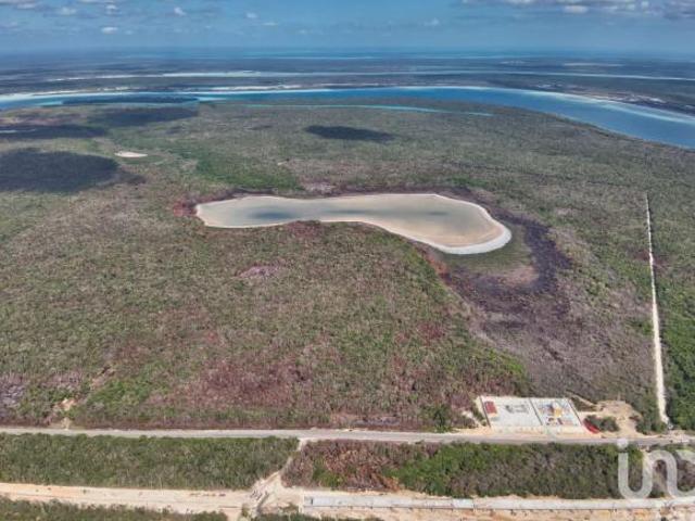 GRAN RESERVA BACALAR