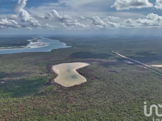 GRAN RESERVA BACALAR