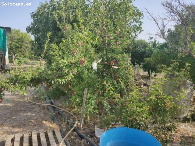 Casa en venta en Morón De La Frontera, Andalucía