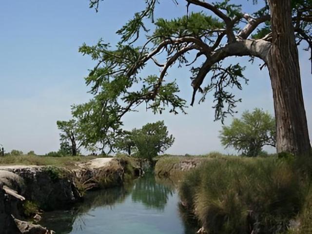 Terreno en venta en Rioverde, San Luis Potosí