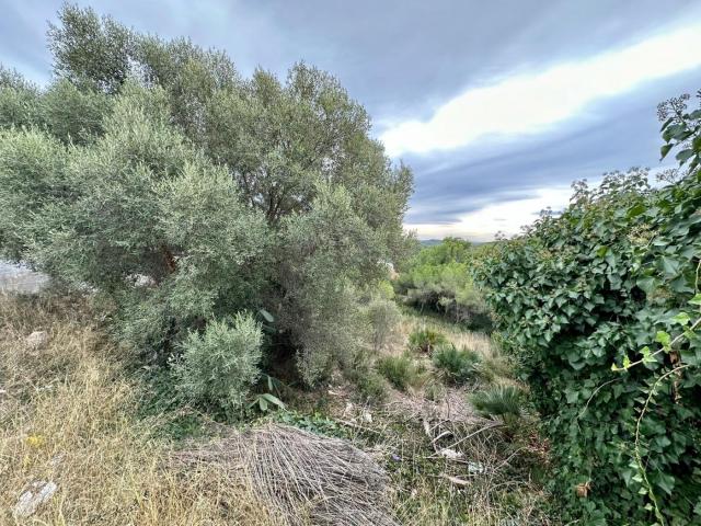 Terreno en venta en el Puig, Baix Penedès