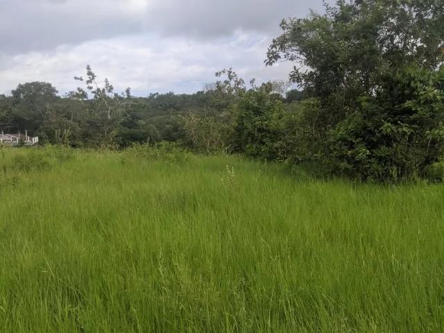 Terreno venta en San Félix
