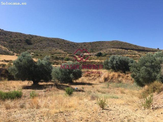 Local Comercial en venta en Morata, Alto Guadalentín