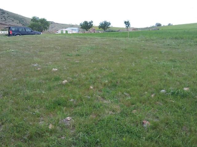 Terreno en venta en Ciudad Real, Castilla-La Mancha