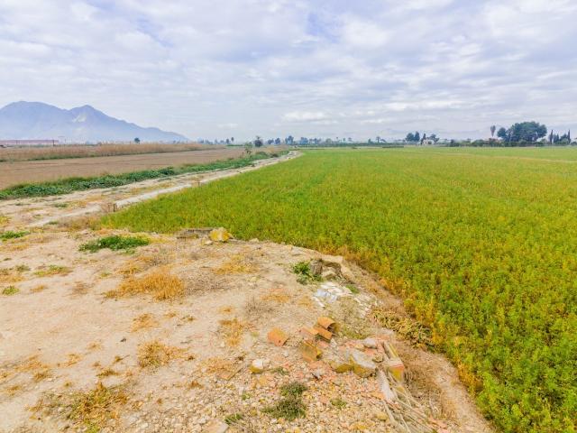 Terreno en venta en Callosa de Segura, Alacant / Alicante