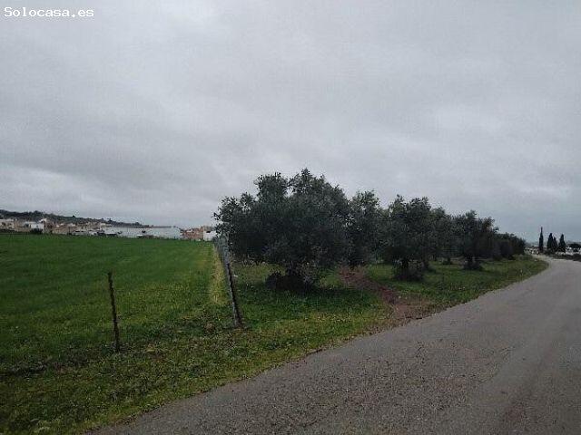Local Comercial en venta en Sierra de Cádiz, Andalucía