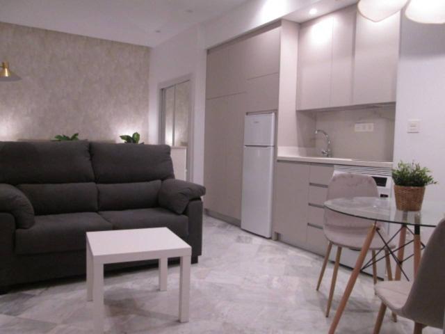 Loft en alquiler en Centro, Comarca de la Vega de Granada