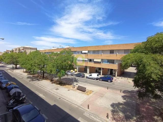 Apartamento en alquiler en Genil, Comarca de la Vega de Granada