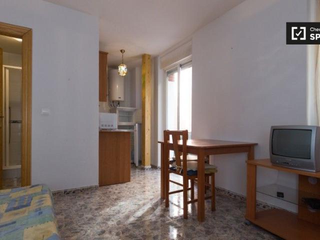 Apartamento en alquiler en Centro, Granada