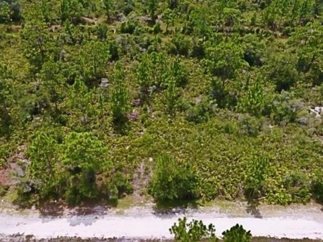 Land for sale in Indian Lake Estates, Polk County