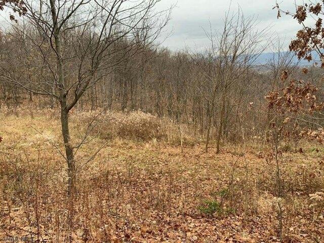 House for sale in Altoona, Blair County