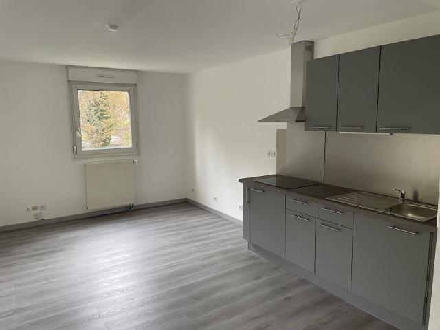 Appartement location à Mulhouse, Collectivité européenne d'Alsace