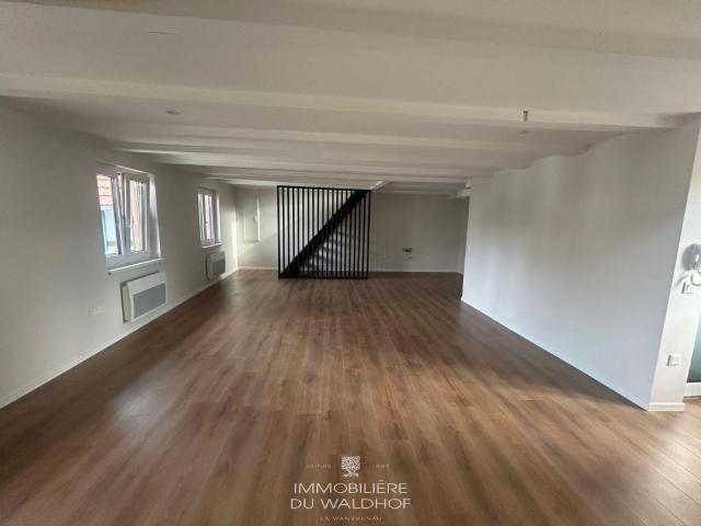Duplex vente à Parc d'Activités de La Wantzenau, La Wantzenau