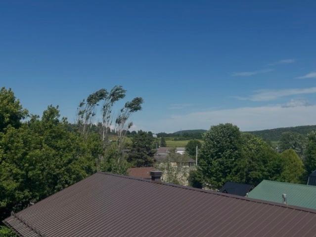 Apartment for rent in Matawinie, Quebec