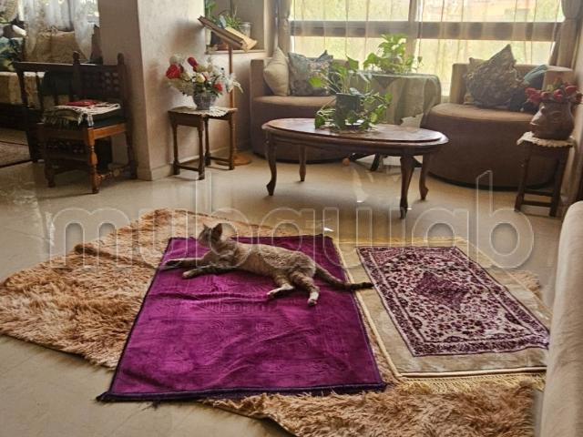 Appartement vente à Tangero, Tanger-Tétouan