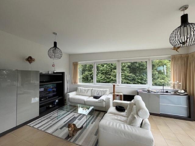 Apartment mieten in Rolle, Waadt