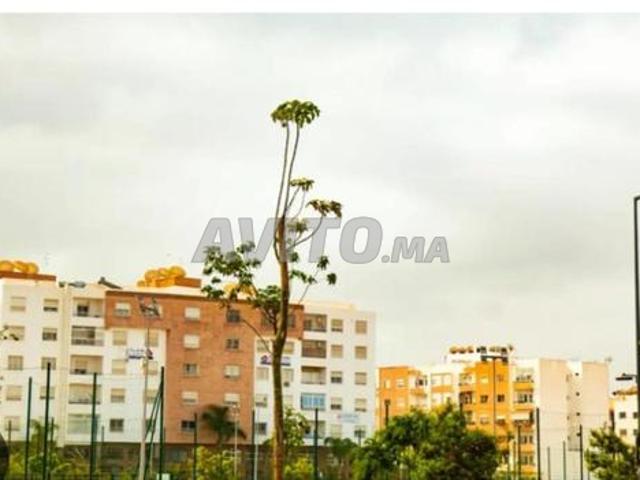 Appartement vente à El Houda, Agadir