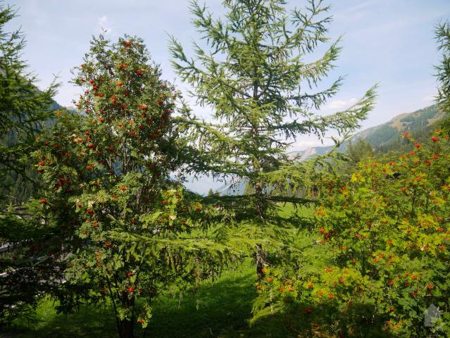 Haus kaufen in Orsières, Wallis
