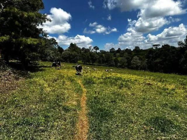 House for sale in Ngecha Tigoni, Kiambu