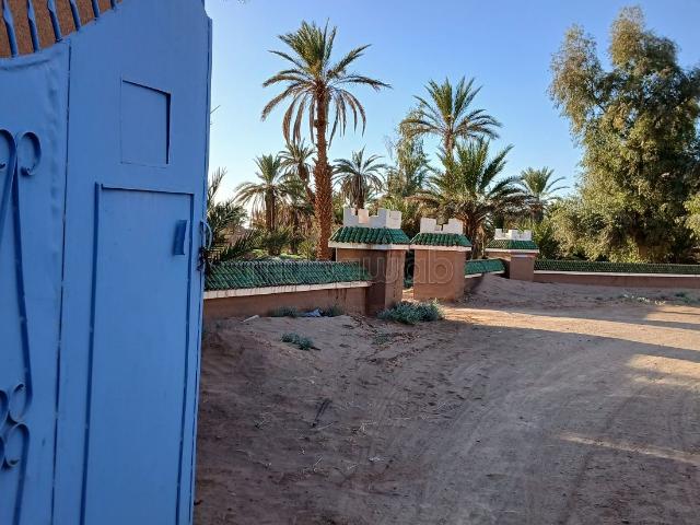 Riad vente à M'hamid El Ghizlane