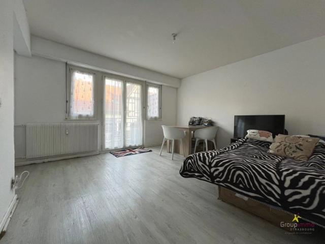 Appartement vente à Strasbourg, Hoenheim