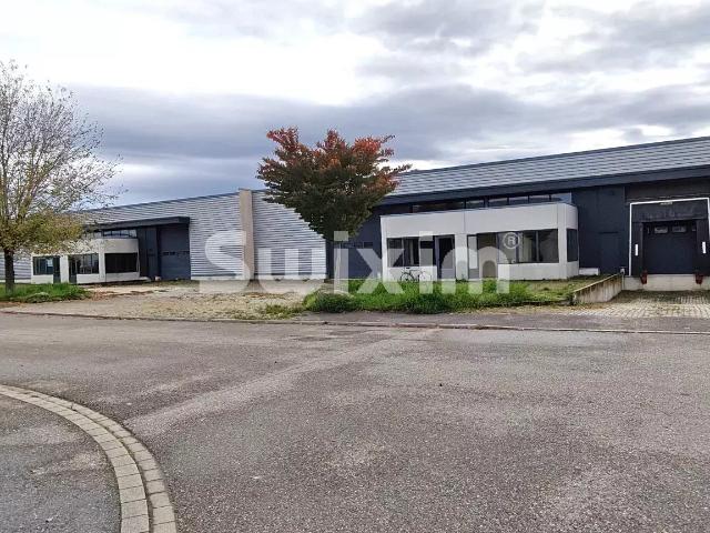 Local Commercial vente à Sélestat-Erstein, Sélestat