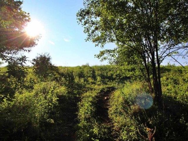 Land for sale in Grand Isle, Vermont