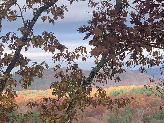 Land for sale in Brasstown, North Carolina
