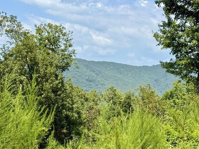 Land for sale in Brasstown, Clay County
