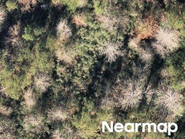 Land for sale in Texas