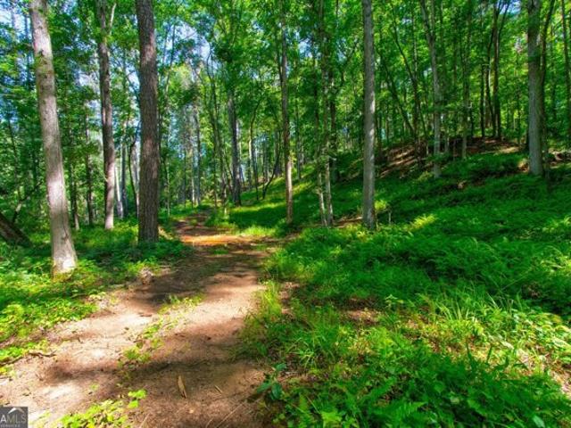 Land for sale in Dahlonega