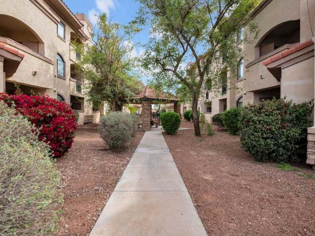 Apartment for rent in Chandler, Arizona