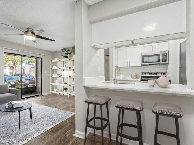 Apartment for rent in Tampa, Florida