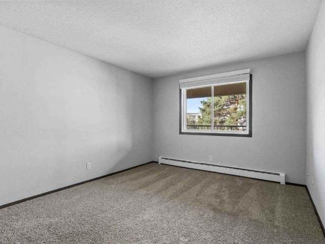 Apartment for rent in Ramsey, Minnesota