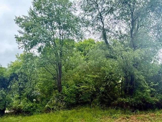 Land for sale in Howard, Knox County