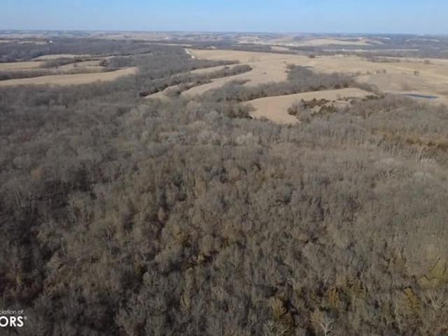 Farm for sale in Grand River, Iowa