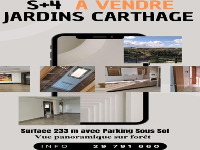 Appartement vente à Ain Zaghouan