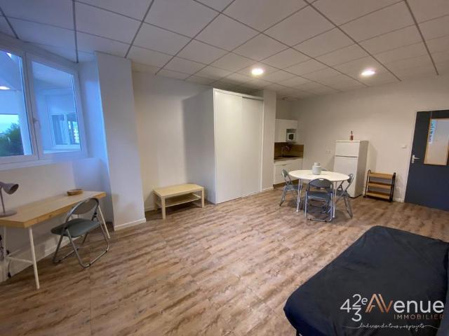 Studio location à Saint-Étienne, Saint-etienne