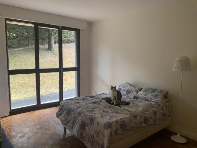 Studio location à France métropolitaine, Saint-cloud