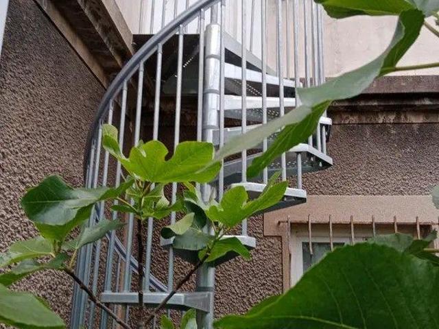 Appartement location à Nogent-sur-Marne, Saint-maur-des-fossés