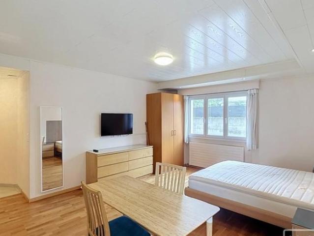 Studio mieten in Crissier, Waadt