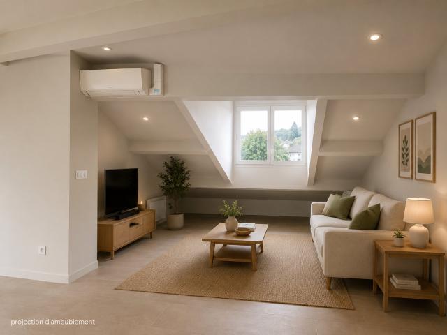 Duplex vente à Lyon, Métropole de Lyon