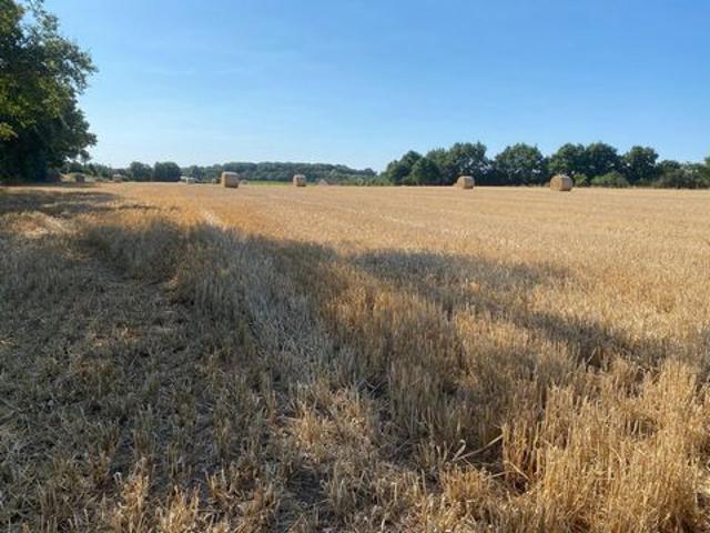 Terrain vente à La Flèche, Voivres-lès-le-mans