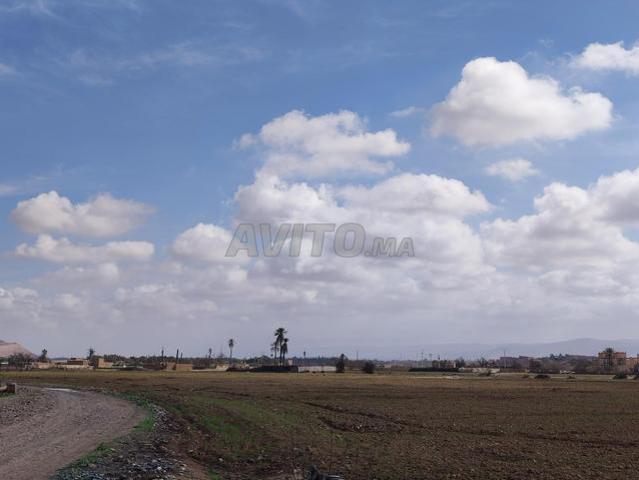 Propriété vente à Taroudant, Oued ed Dahab-Lagouira
