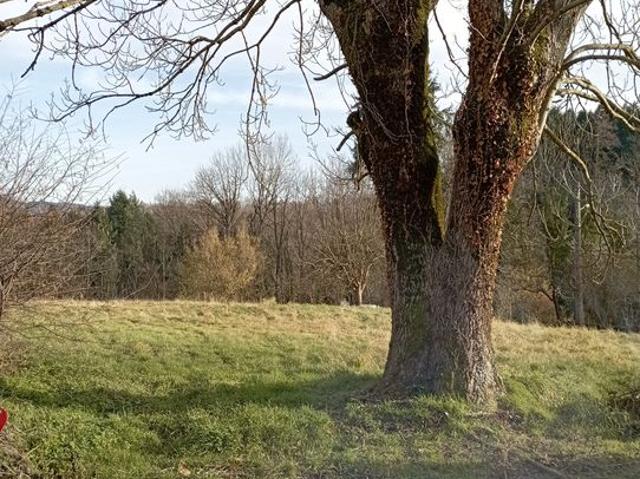 Terrain vente à Vichy, Le Mayet-de-montagne