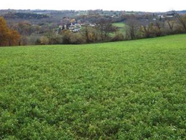 Terrain vente à Sarlat-la-Canéda, Nailhac