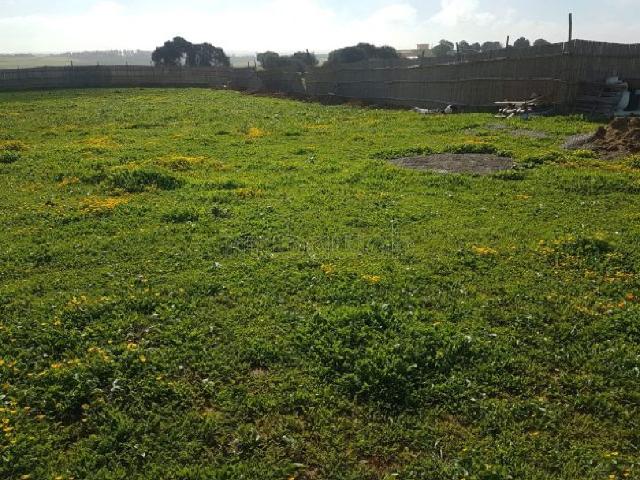 Terrain vente à Assilah, Tanger-Tétouan