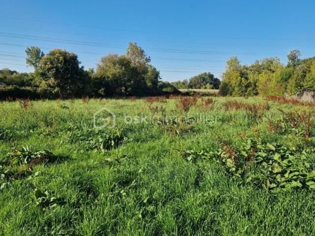 Terrain vente à Niort, Granzay-gript