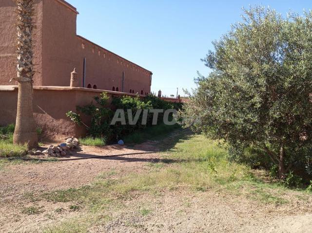 Maison vente à Ouled, Oued ed Dahab-Lagouira