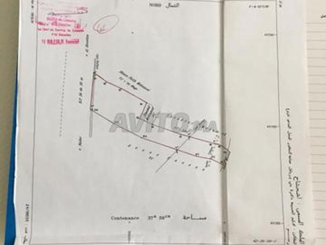 Propriété vente à Al Hoceïma, Tanger-Tétouan
